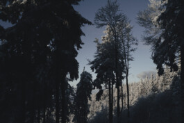 Berghotel Wiedener Eck