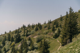 Berghotel Wiedener Eck