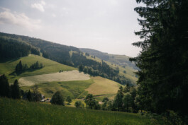 Berghotel Wiedener Eck